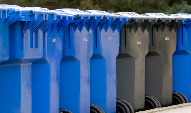Photo of residential waste bins lined up in a row.